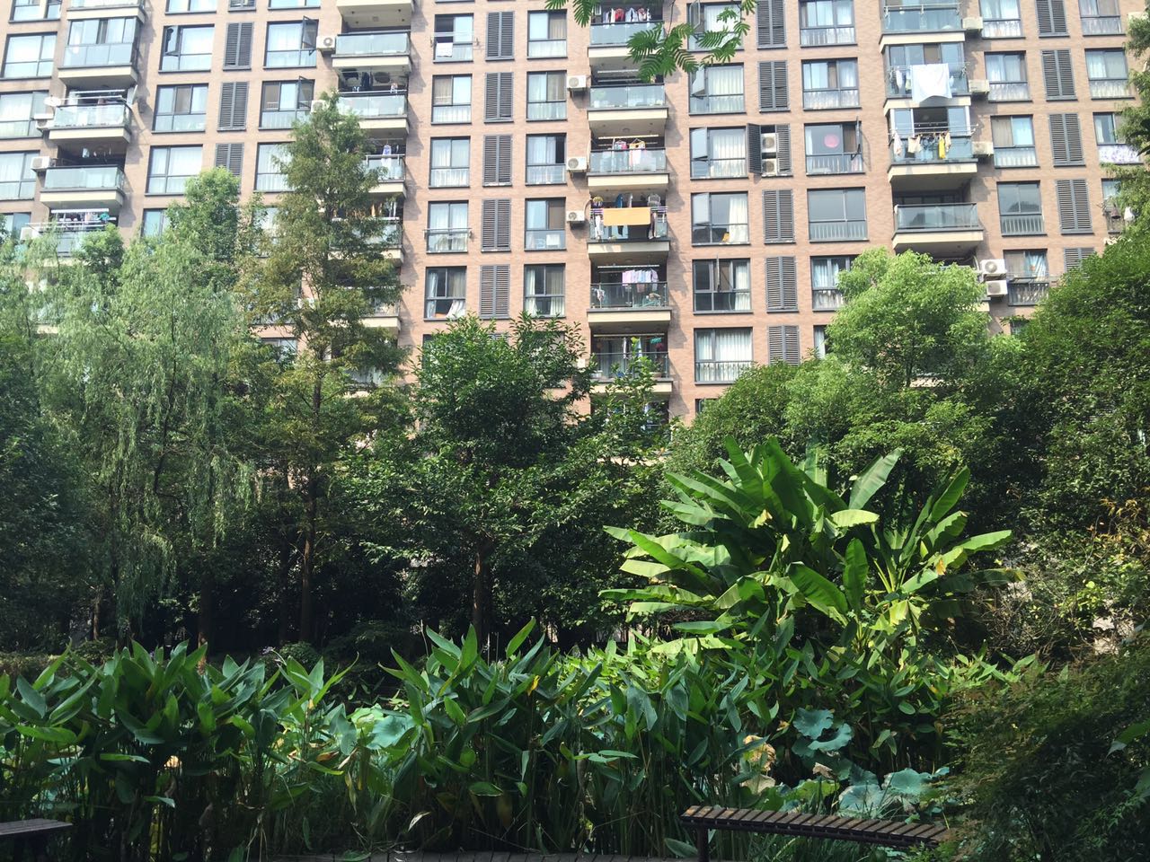 New Century City compound photo 28