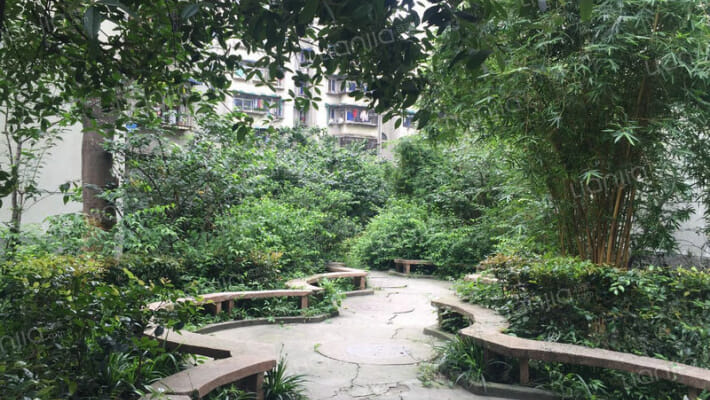 金竹苑A区外景图