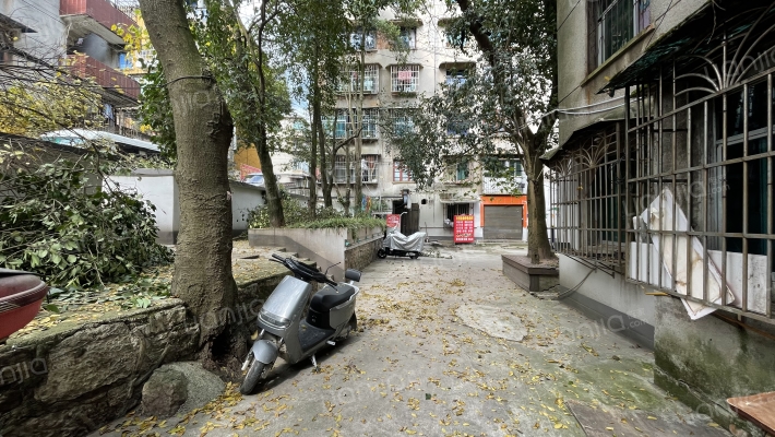 望哨坡巷1号外景图