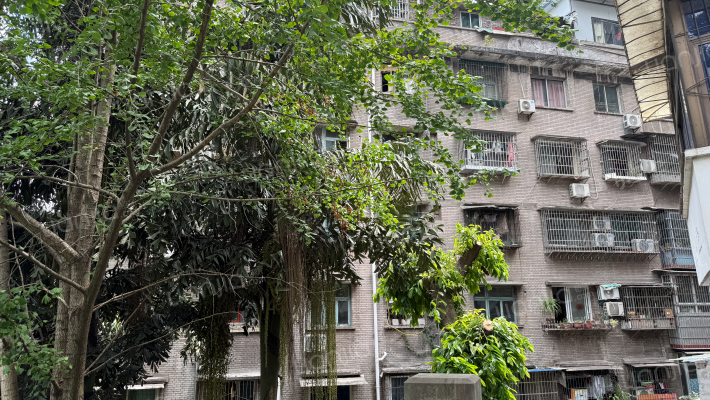 下蔡家坡外景图