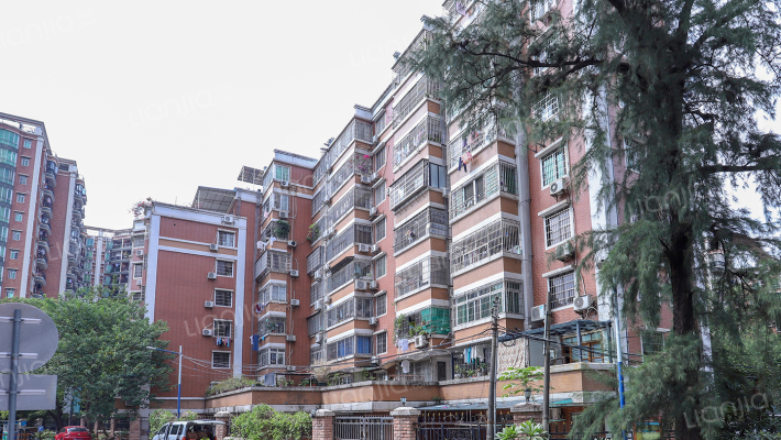 五山税务局宿舍外景图