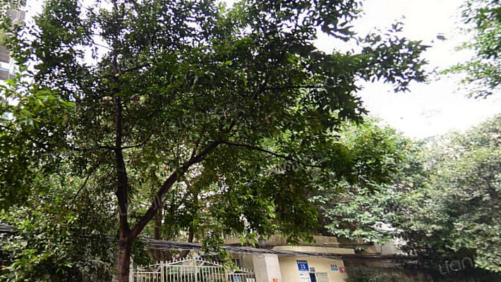 董家湾北街15号外景图