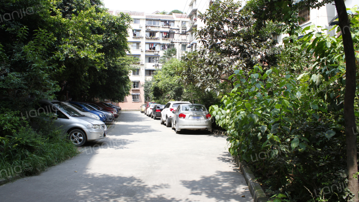 莲花新一区外景图