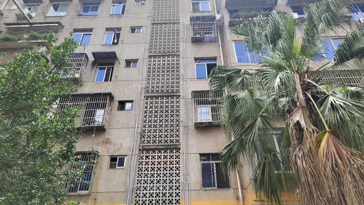 卧龙街13号外景图