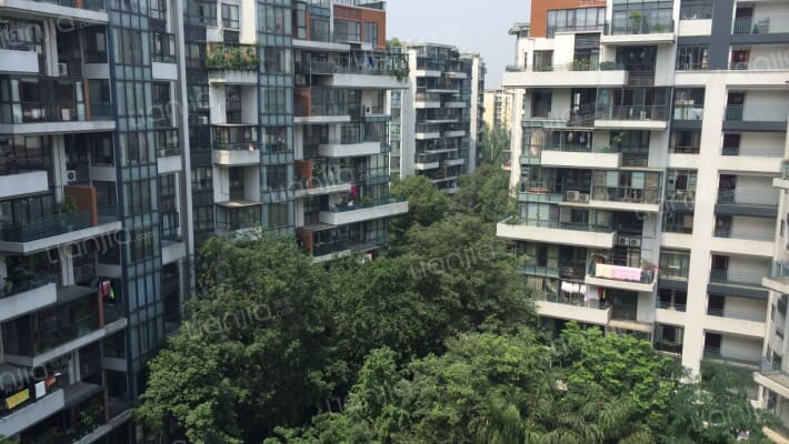 置信丽都花园城D区外景图