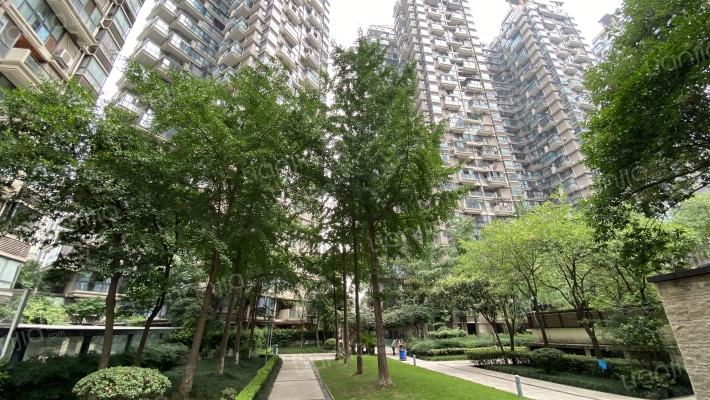 城市春天外景图