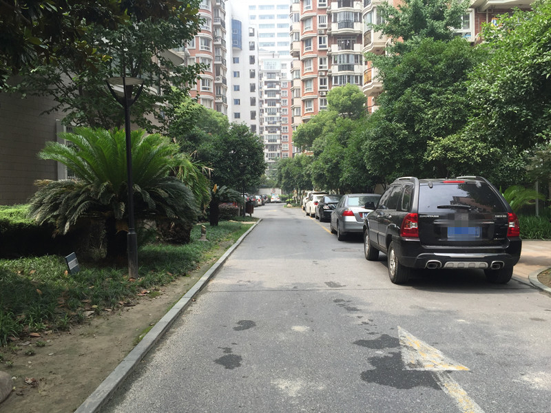 绿洲花园小区实景 12