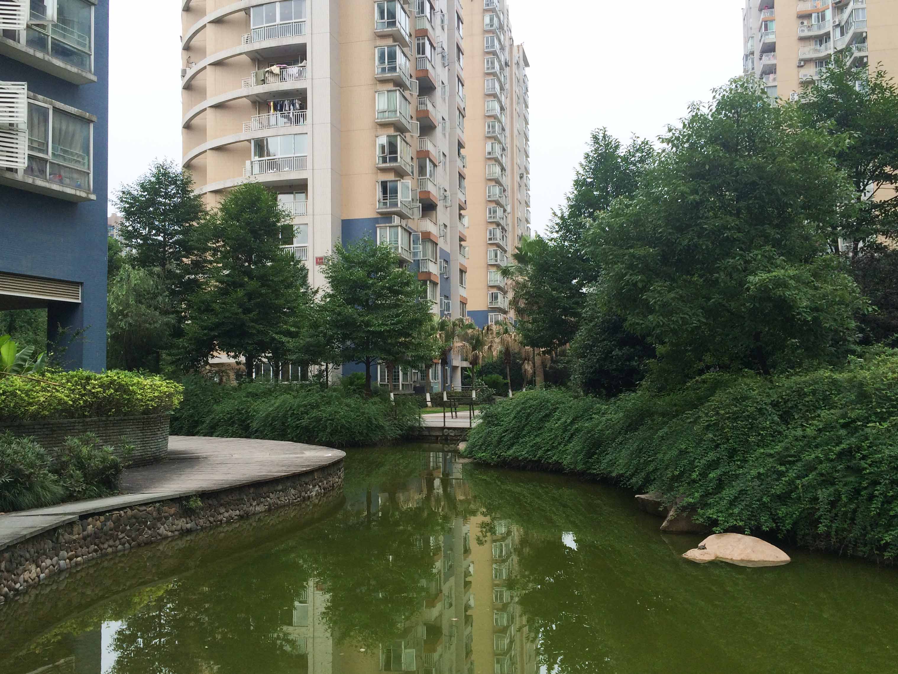 江南豪园小区实景 2