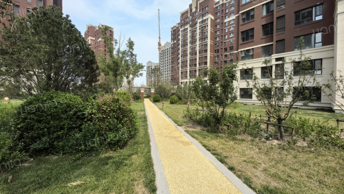 爱情缤纷里外景图