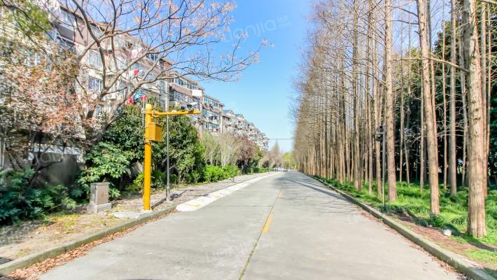 天乐新村外景图