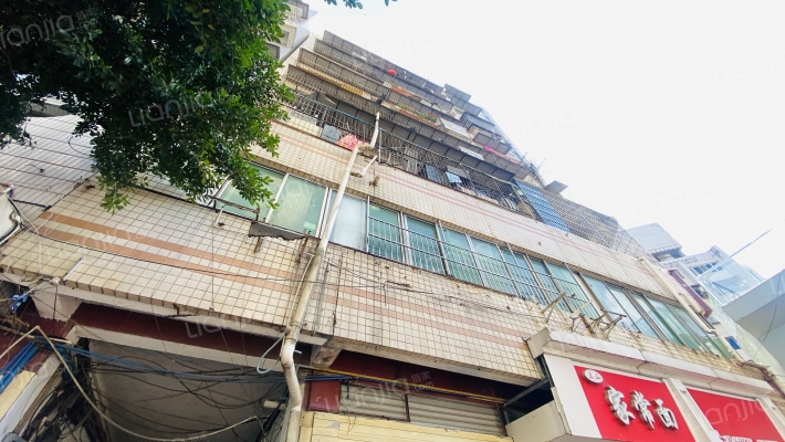 五友路一段10号外景图