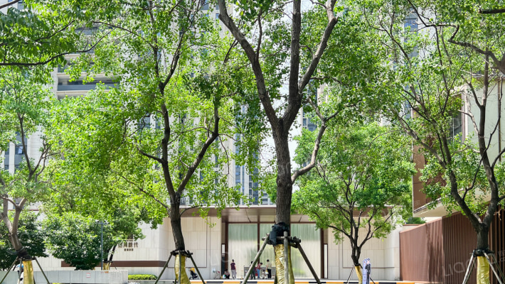 星河时代外景图