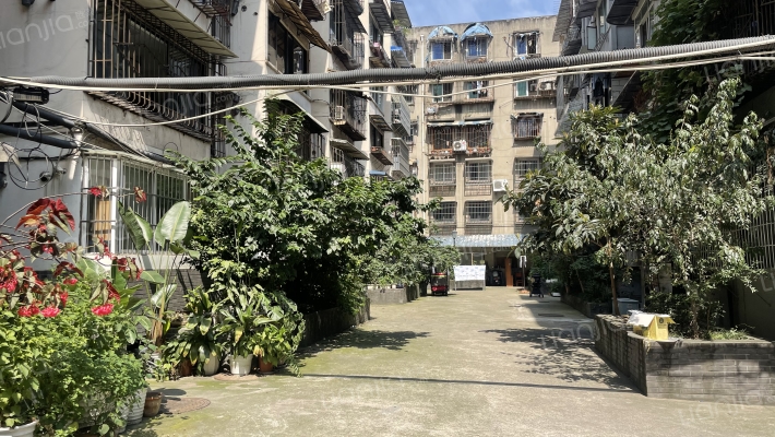 东胜街19号外景图