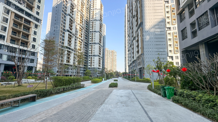 实地常春藤外景图