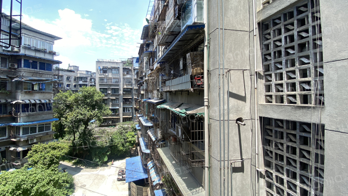 川大新南村外景图