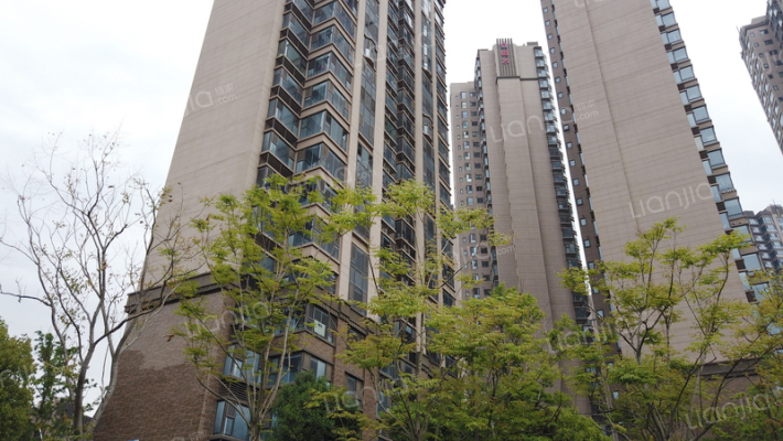 恒大华府外景图