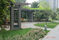 金泰城丽湾户型图实景图