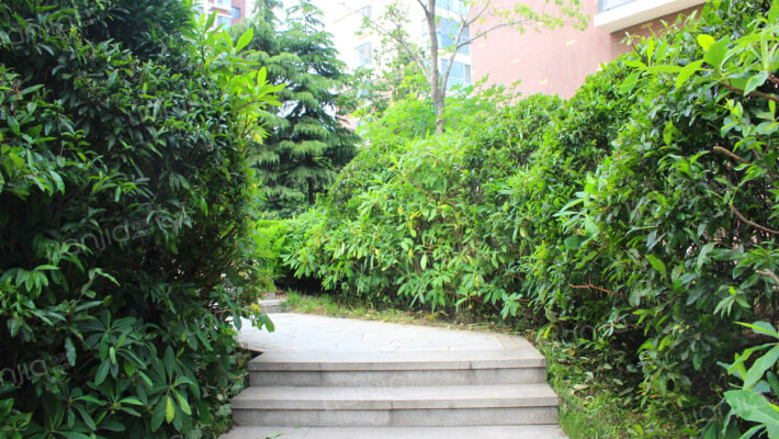 银川山苑外景图