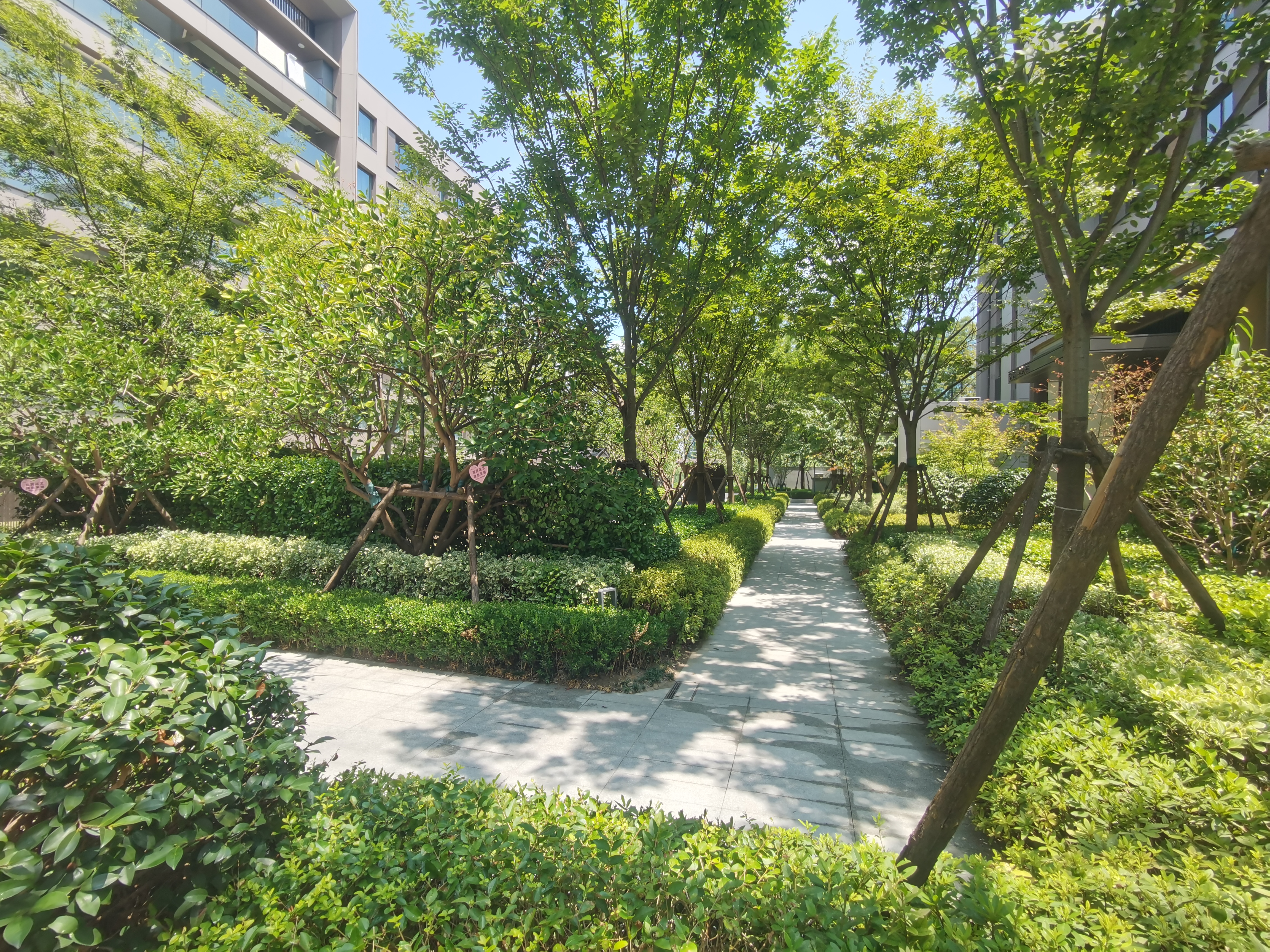 Hangzhou Bay North compound photo 6