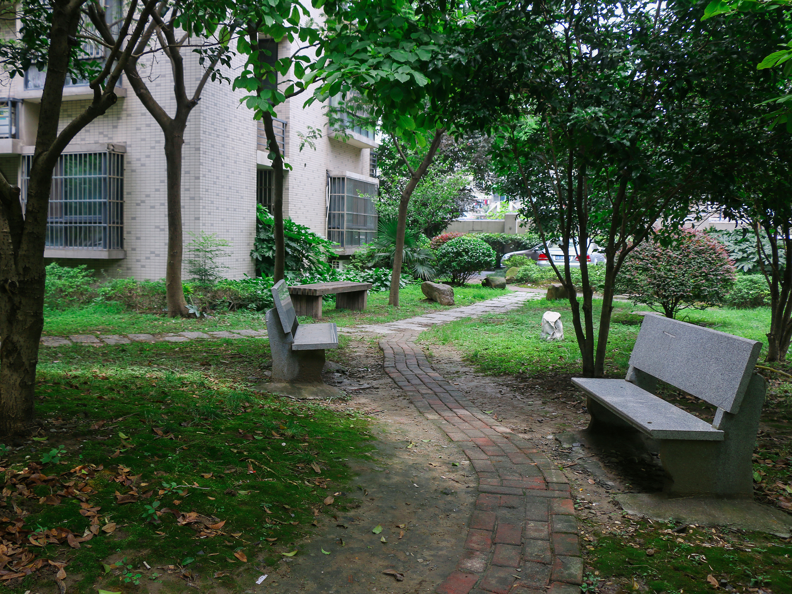 天成嘉苑小区实景 20