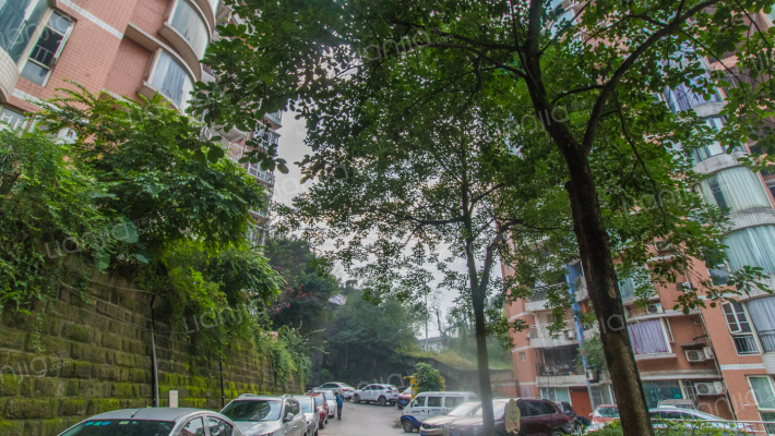 竹园小区外景图