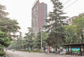 市政首座户型图实景图
