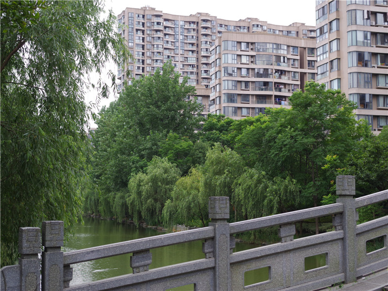 耀江文鼎苑 小区实景 29