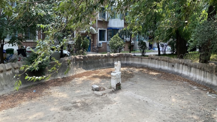 百鸟西苑外景图