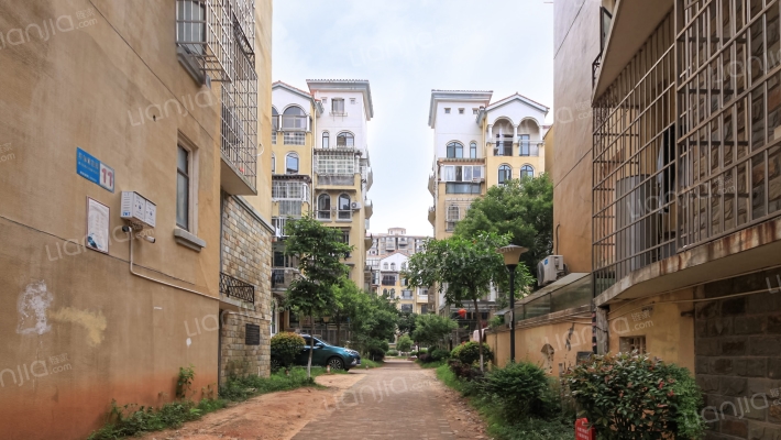 毕加索花园外景图