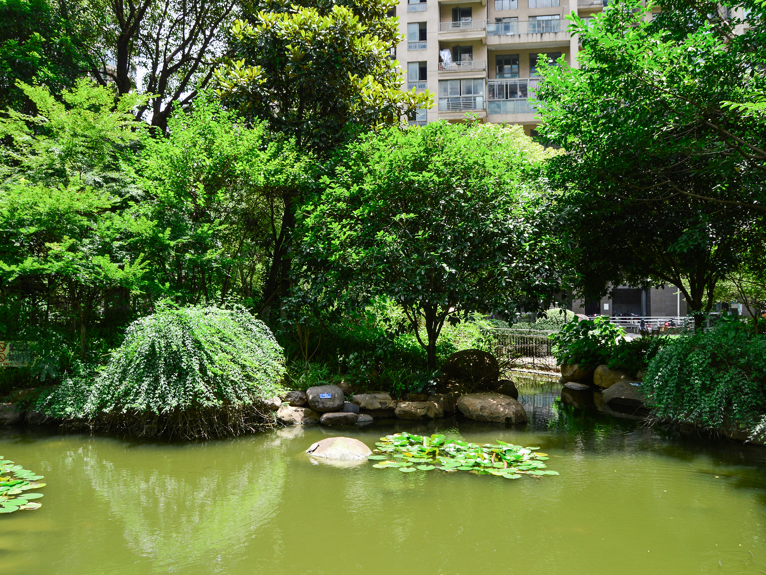 红街公寓小区实景 15