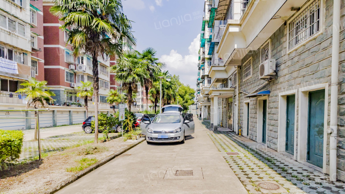 南都花城月季苑外景图