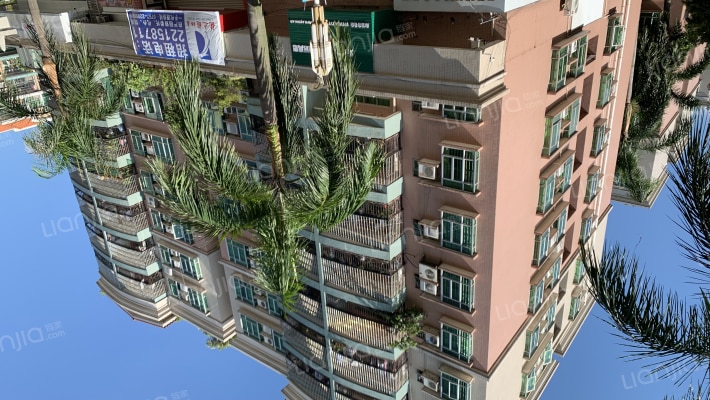 容桂单家振华社区外景图