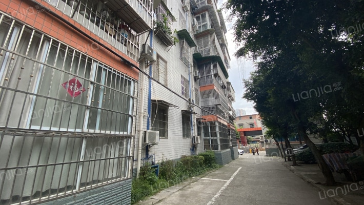 香樟锦苑外景图