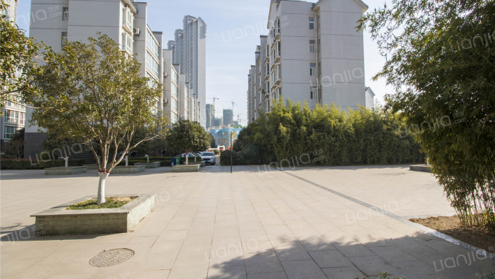 启福中华外景图