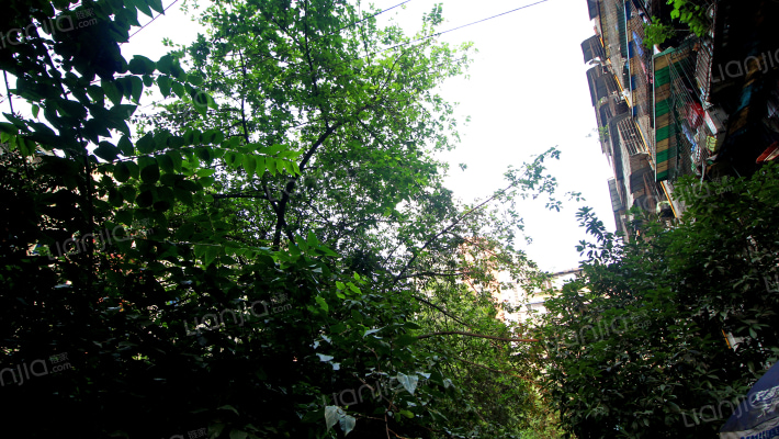 菊乐路122号外景图