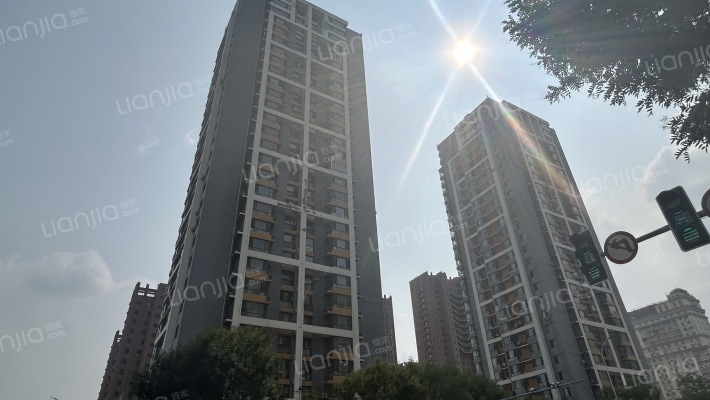 毕加索的树屋外景图