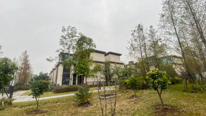 金科御临河月竹澜外景图