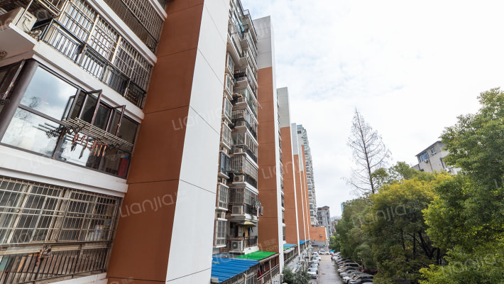 花好月圆外景图