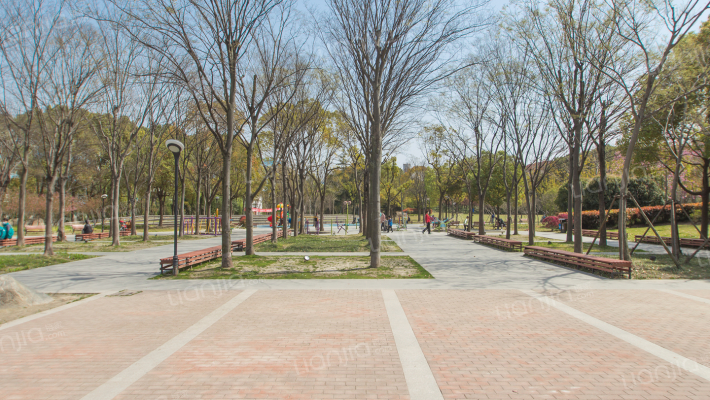 呼玛一村外景图