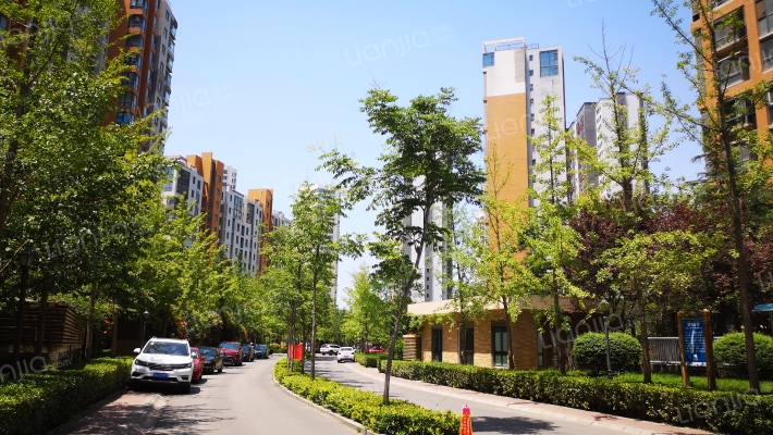 浐灞半岛A15区外景图