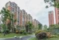 江山鼎户型图实景图