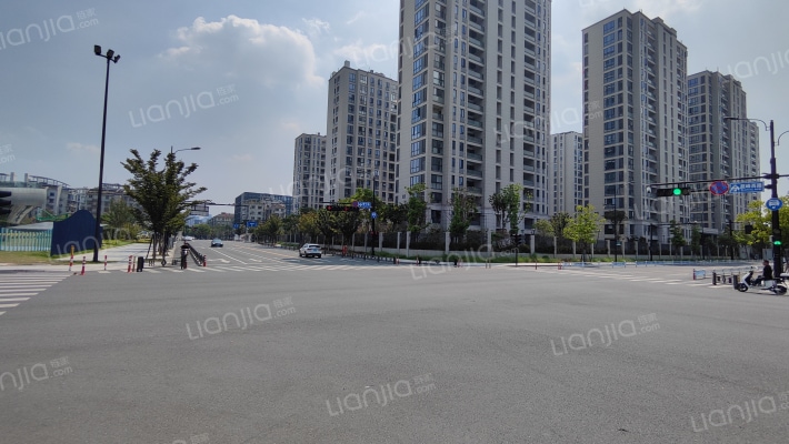 临罗荷悦府外景图