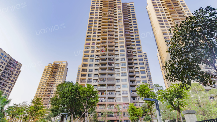 幸福码头外景图