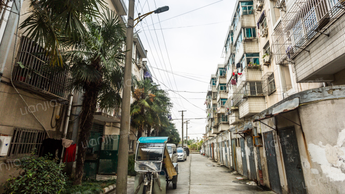 垂虹路313号小区外景图
