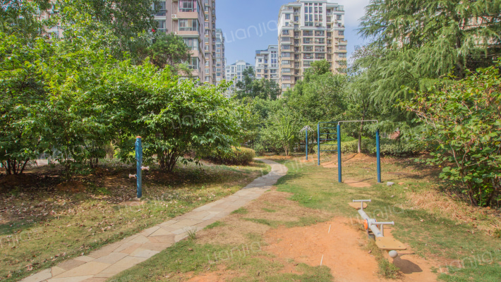 滨江豪园外景图