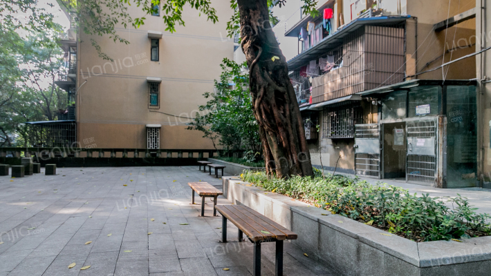 九坑子路社区外景图