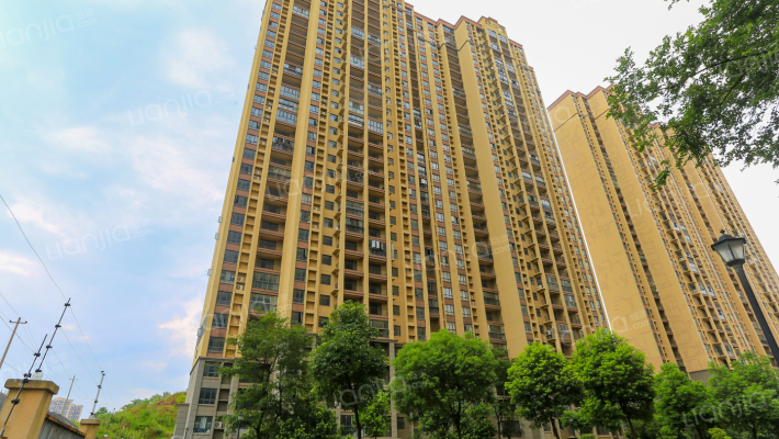 九龙阳光外景图