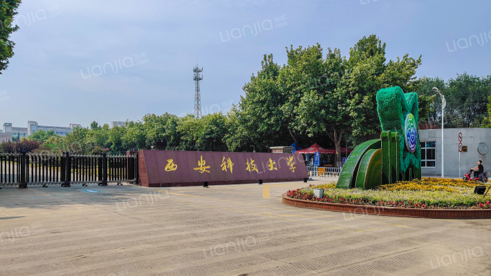 金星小区外景图