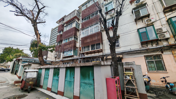 山大路215号外景图