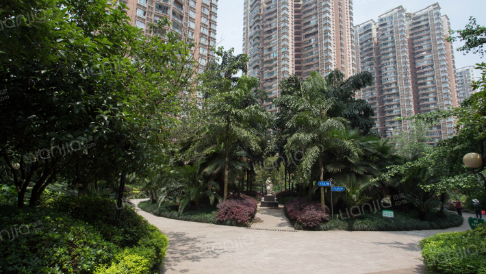 锦天康都小区外景图